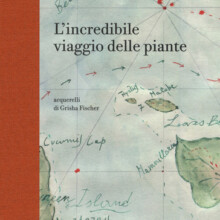 9788858133323_0_0_535_75