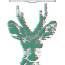 gamberini cover