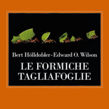 9788845935114_0_0_592_75