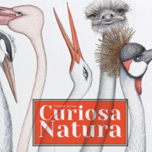 9788867223176_0_0_626_75