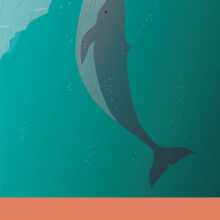 9788870916324_0_0_534_75