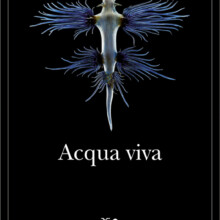 a4d41881dcc829a3de967c6515b32849_w_h_mw600_mh900_cs_cx_cy