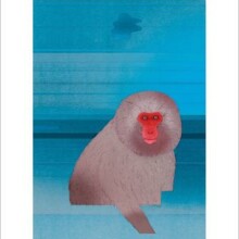 9788806248284_0_0_531_75